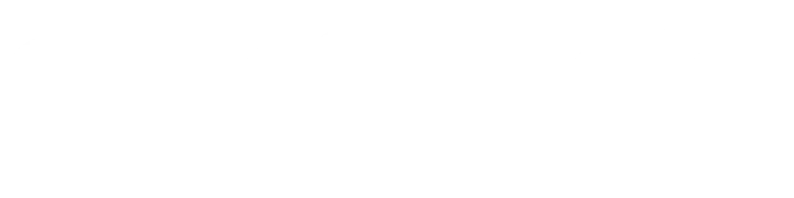 White Logo